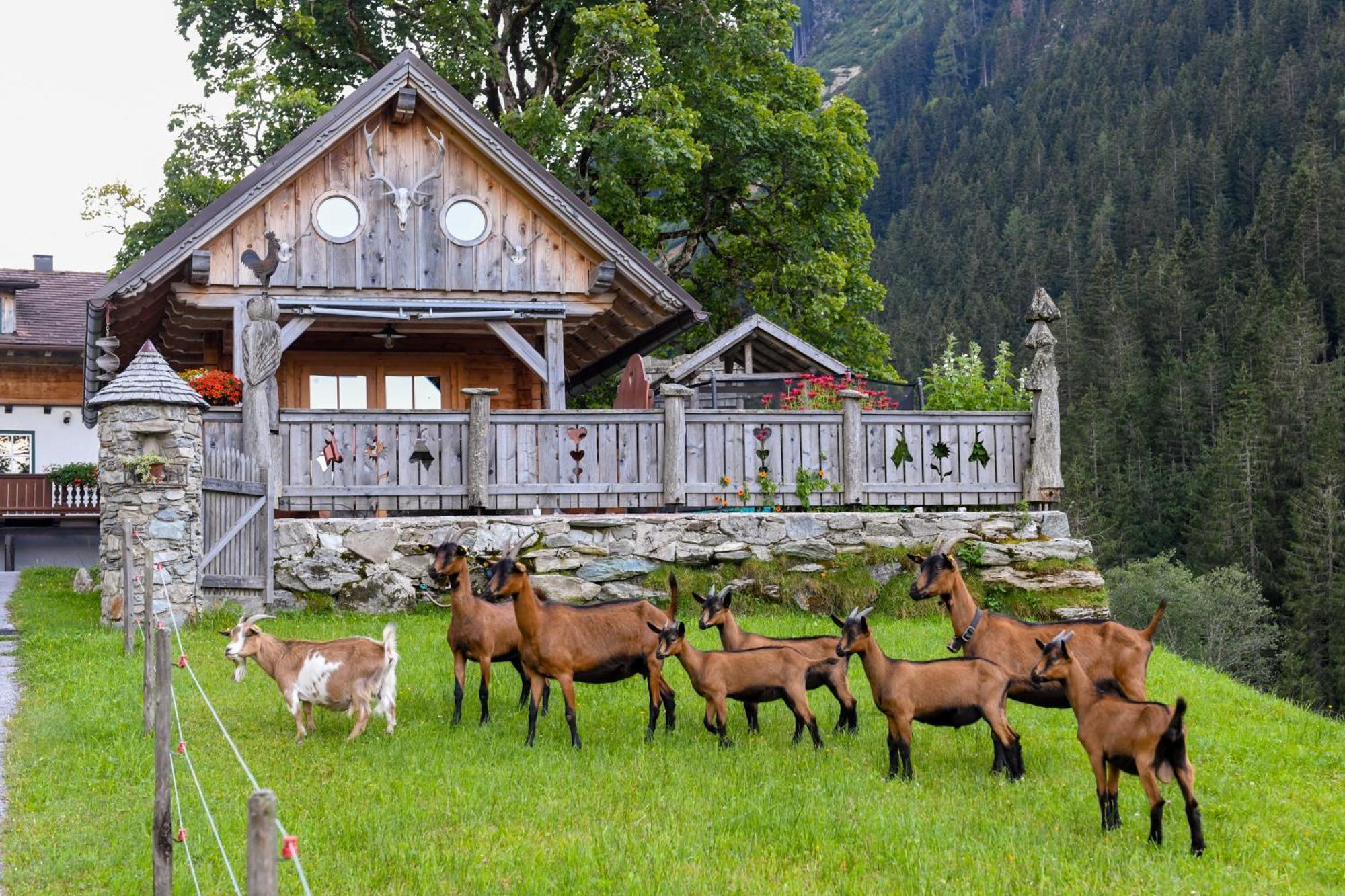 Villa Strickhof à Schladming Extérieur photo