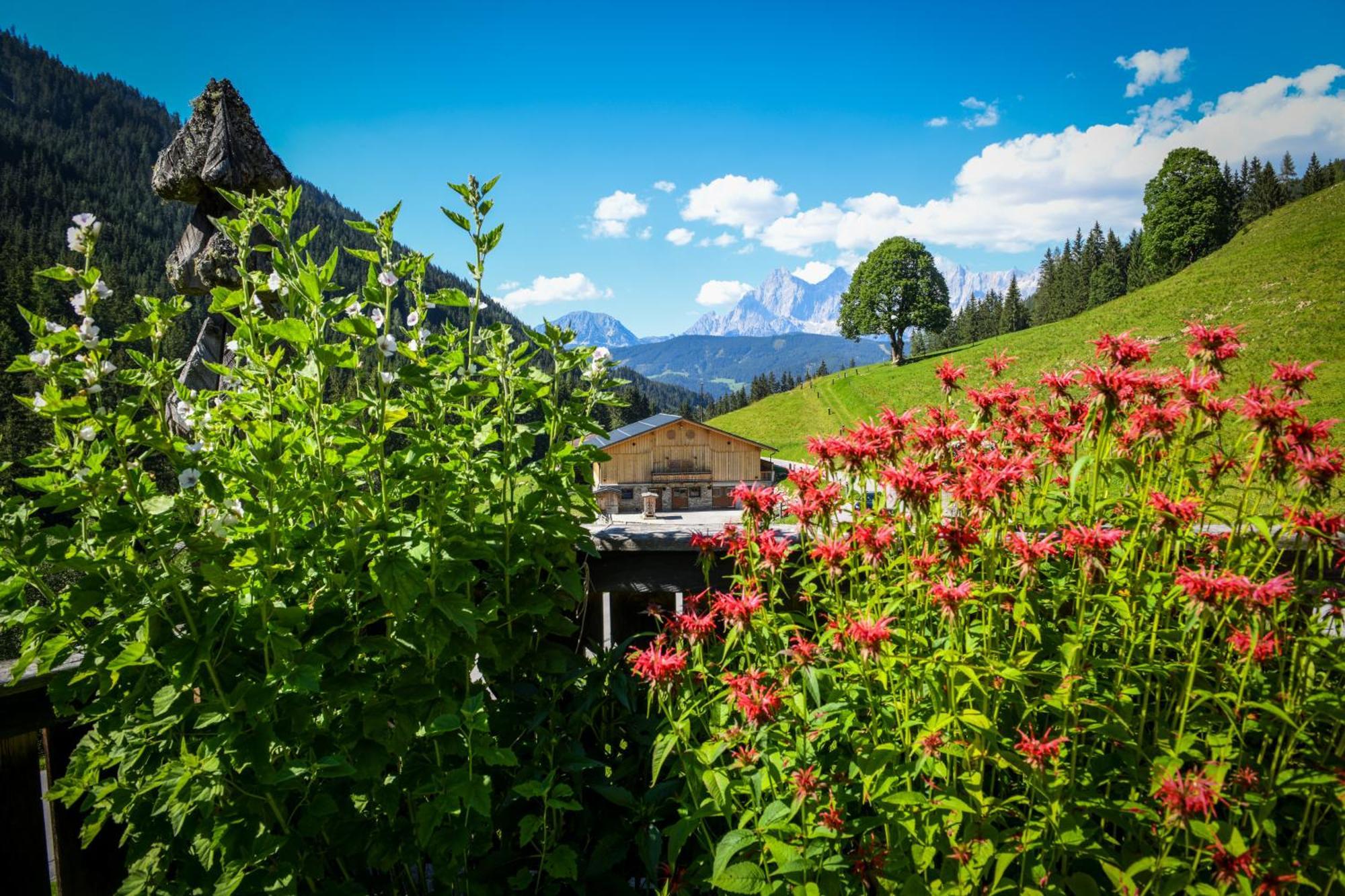 Villa Strickhof à Schladming Extérieur photo